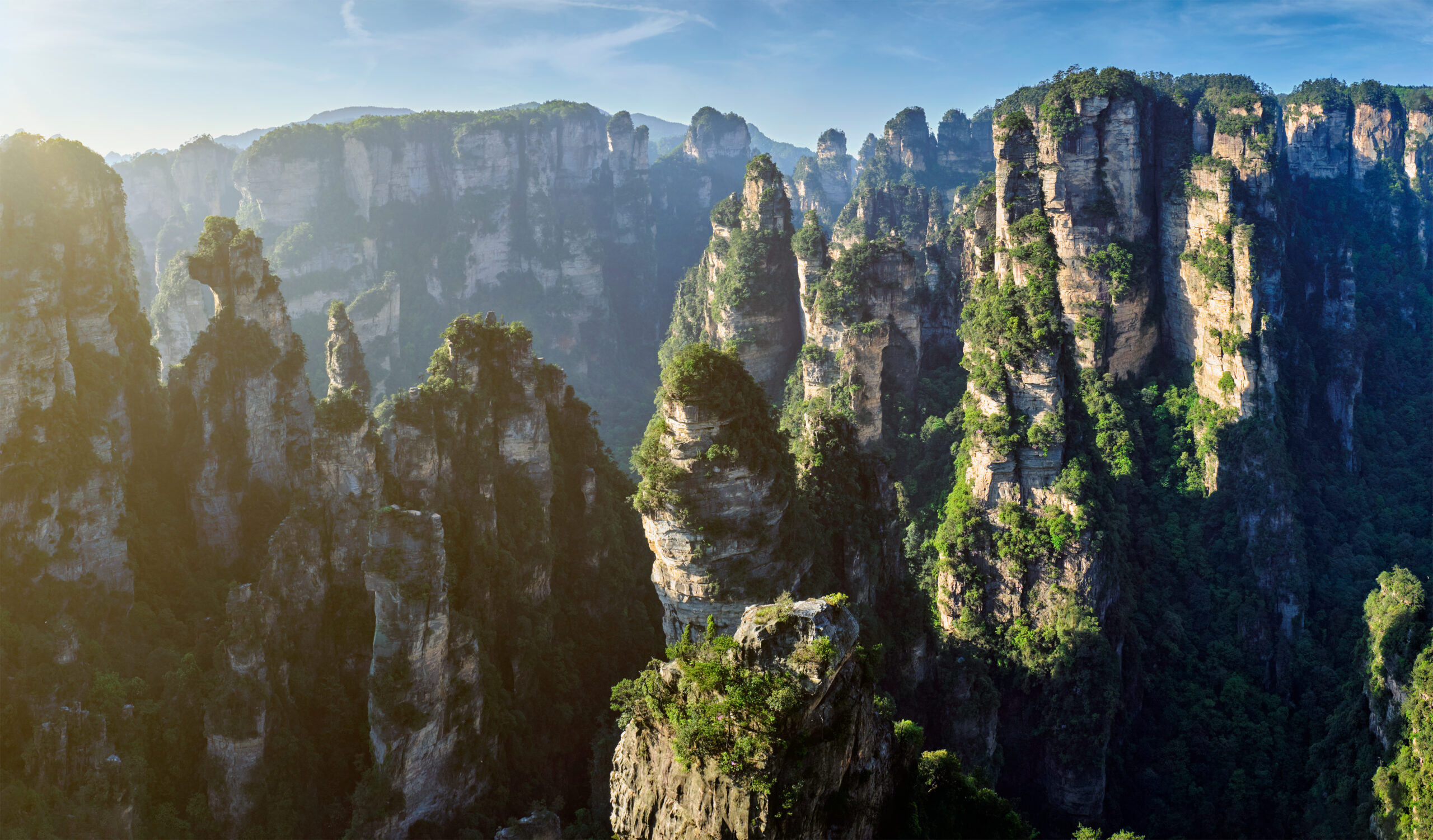 Pilares de arenito cobertos de vegetação sob a luz do sol no Parque Florestal Nacional de Zhangjiajie.