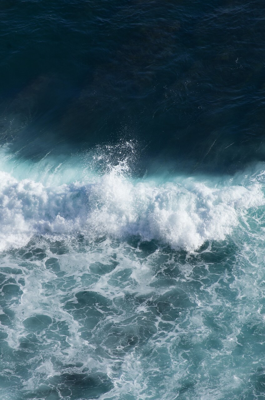 ilyuza-mingazova--zxG8fyqCg0-unsplash_Easy-Resize.com