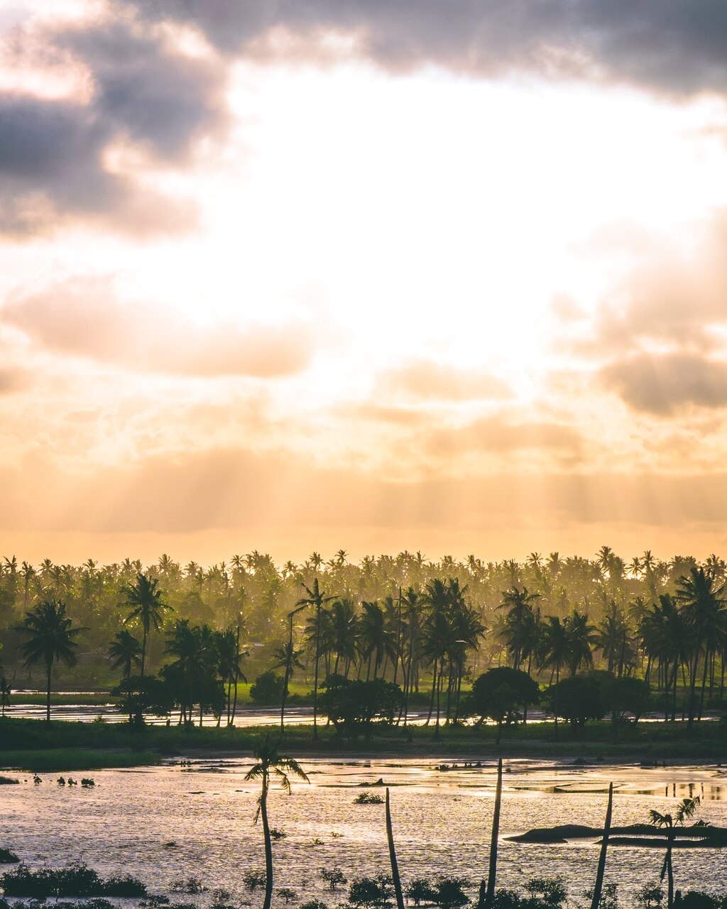 sebastian-staines-VNWL8K0aXtY-unsplash_Easy-Resize.com