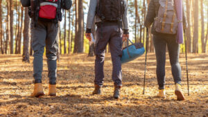 Grupo de caminhantes com mochilas e bastões atravessando uma floresta de pinheiros durante expedição de trilha